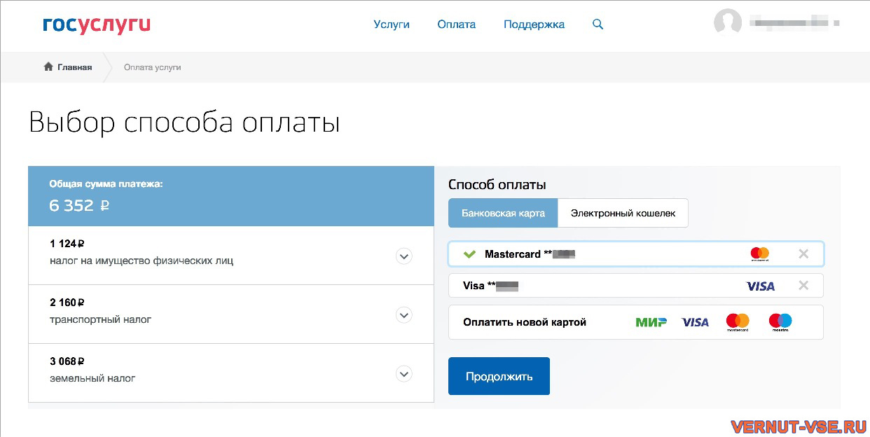 Страница выбора способа оплаты на сайте Госуслуг